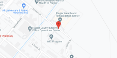 Flagler Pines in google map