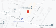 Brandywine at Livingston in google map