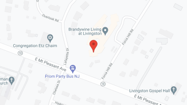 Brandywine at Livingston in google map