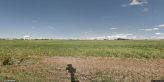 street view of Oak Pointe of Maryville