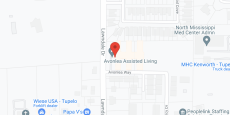 The Manor on Lawndale in google map