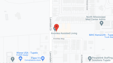 The Manor on Lawndale in google map
