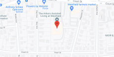 The Arbors at Westfield in google map