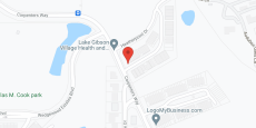 Lake Gibson Village in google map