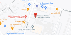 Silver Healthcare Center in google map