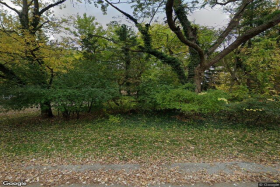 Treetop Adult Care 
