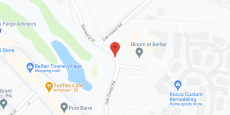Bloom at Belfair II in google map