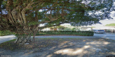 street view of Coral Villa Adult Care Inc.