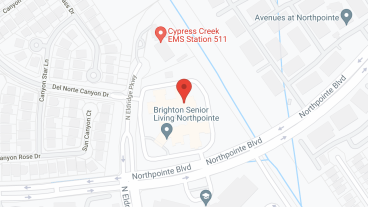 Grace Care Center At Northpointe in google map
