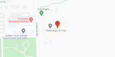 American House Somerset in google map
