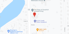 The Pines of Goodrich Memory Care in google map