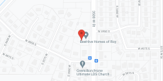 Bee Hive of Roy in google map