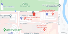 Pearl of Naperville in google map