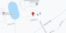 Blue Willow Personal Care Home in google map