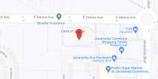 Liana of Venice in google map