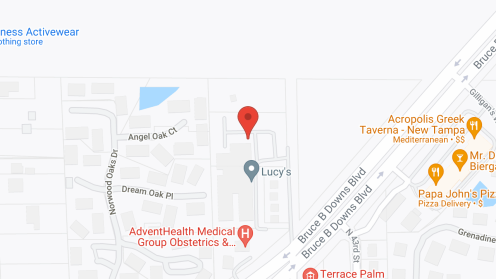 Map of the neighborhood around Angels Senior Living At New Tampa LLC