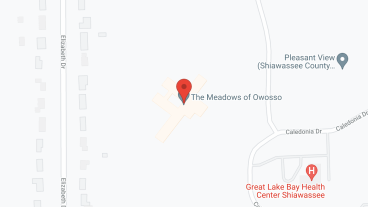 Meadows of Owosso in google map