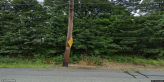 street view of The Pines Senior Living