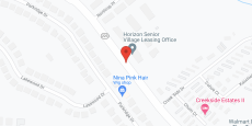 Horizon Senior Village in google map