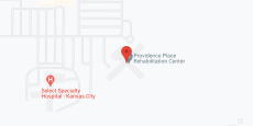 Providence Place LLC in google map