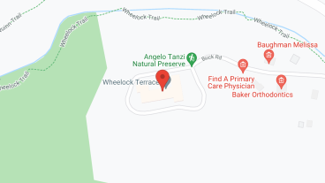 Wheelock Terrace in google map