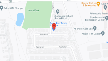 Saint Mary's Assisted Living Facility in google map