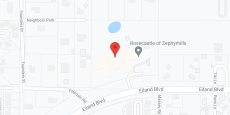 Rosecastle of Zephyrhills in google map