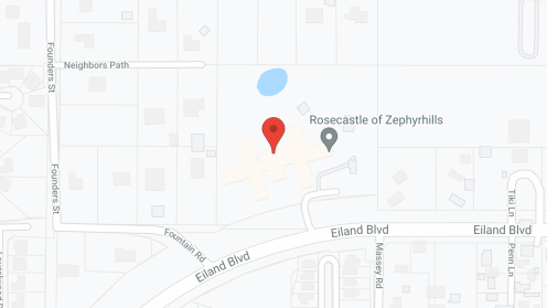 Map of the neighborhood around Rosecastle of Zephyrhills