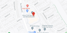 Silver Tree Nursing and In Step Rehab Center in google map