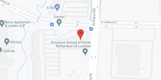 Remington Medical Resort Richardson in google map