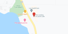 The Landing at Laurel Lake in google map