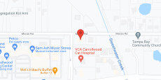 Grace House of Tampa Inc. in google map