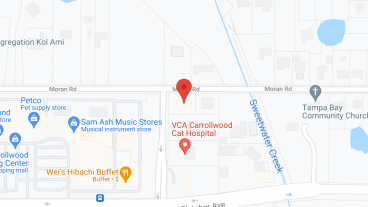 Grace House of Tampa Inc. in google map