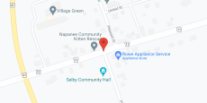Village Green Nursing Home in google map