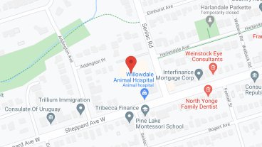 Lansing Retirement Residence in google map