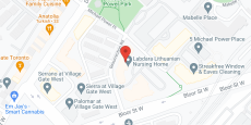 Labdara Lithuanian Nursing in google map