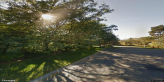 street view of Wedgewood South