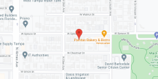 Golden Age Assisted Living Facility of Tampa Bay in google map