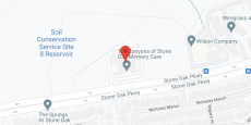 The Canyons of Stone Oak in google map