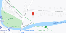 Golden Bridge Manor in google map