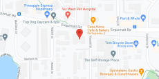 Springtide in google map