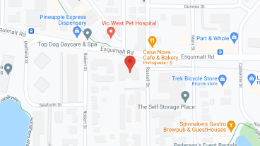 Springtide in google map