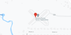 Seneca Pointe in google map