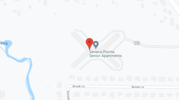 Seneca Pointe in google map