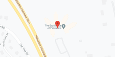 Esplanade at Palisades in google map