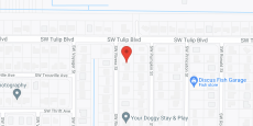Touch of Grace Assisted Living Facility, LLC in google map