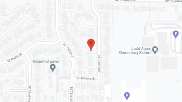 Capusan AFC in google map