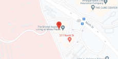 The Bristal at White Plains in google map