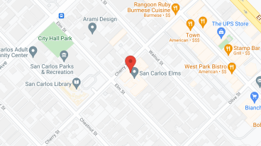 San Carlos Elms in google map