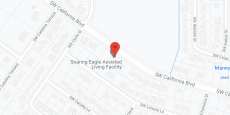 Soaring Eagle Assisted Living Facility in google map